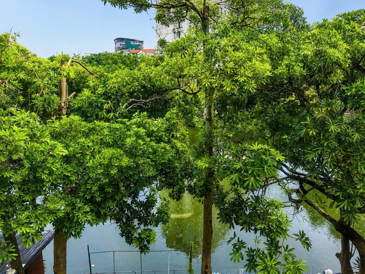 Lake View 2-Bed Apartment for Rent in West Lake, Hanoi 3
