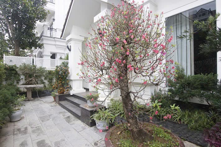 3-Bedroom Semi-Detached Villa for Rent at Anh Dao 09, Vinhomes Riverside