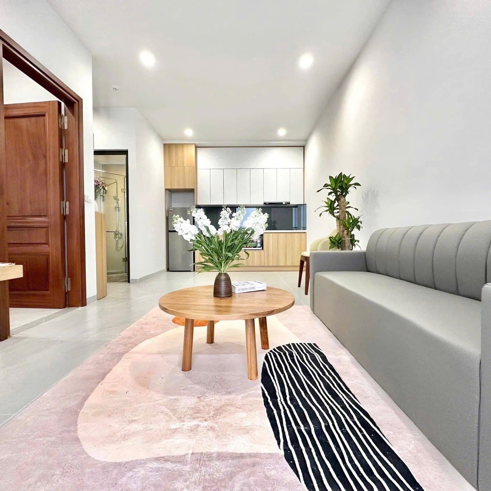1-Bedroom Apartment with Balcony in Tây Hồ · TRỊNH CÔNG SƠN (Unit 202) 3
