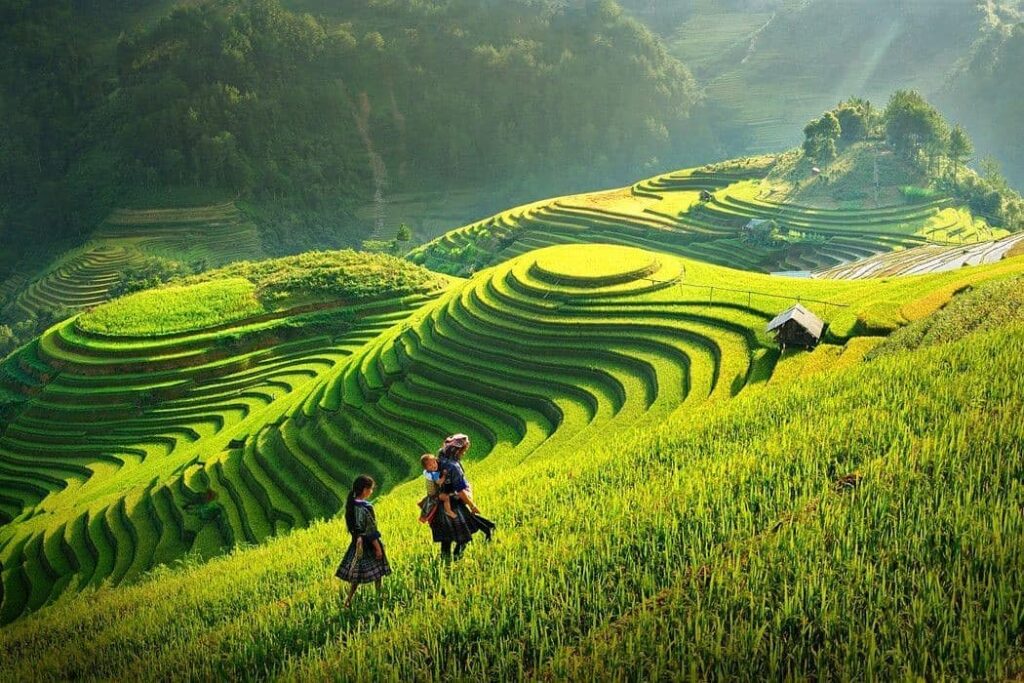https://www.kkday.com/vi/blog/58896/cam-nang-du-lich-sapa-trai-tim-noi-nui-rung-tay-bac/?srsltid=AfmBOoraJrQNome_7VZNsT2u0n--tjm7jL8t5qr6WaRztSA5ZeNNEO5-